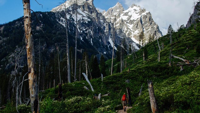 A hiker walks down a trail towards mountains.