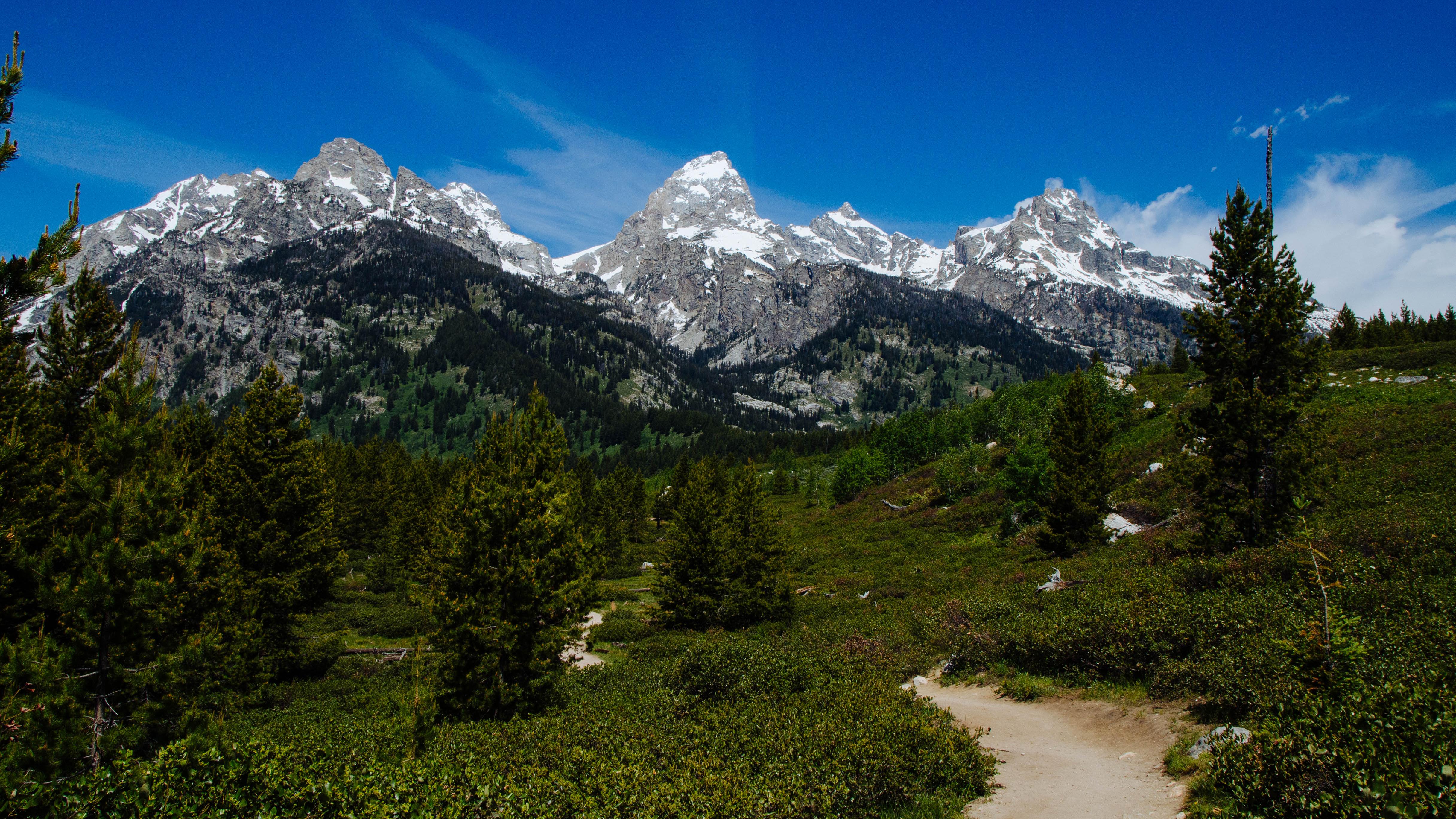 A trail winds through bushes towards mountains.