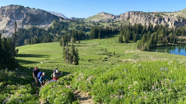 Hikers climb out of a valley in Death Canyon