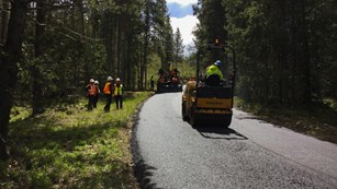 Construction vehicles pave a road through the forest.