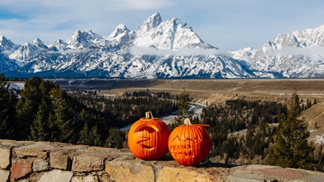 Two pumpkins on a rock wall with the snow capped Teton Range in the distance