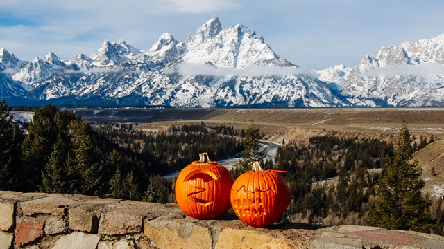 Two pumpkins on a rock wall with the snow capped Teton Range in the distance