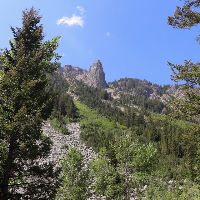 A rock pinnacle towers above at the top of a slope covered in boulders and green vegetation.