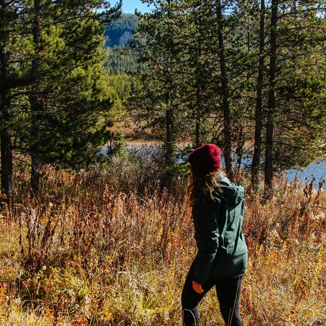 A hiker walks down a trail by a river.