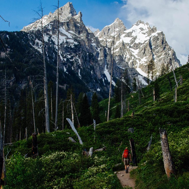 A hiker walks down a trail towards mountains.