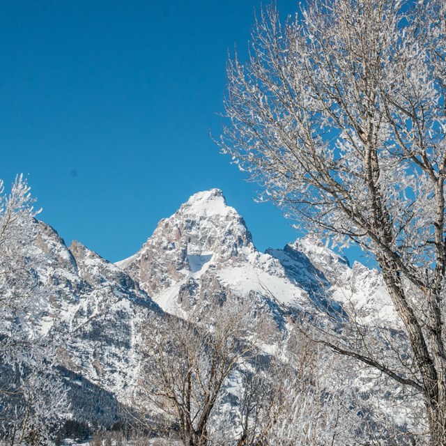 Mountains covered in snow.