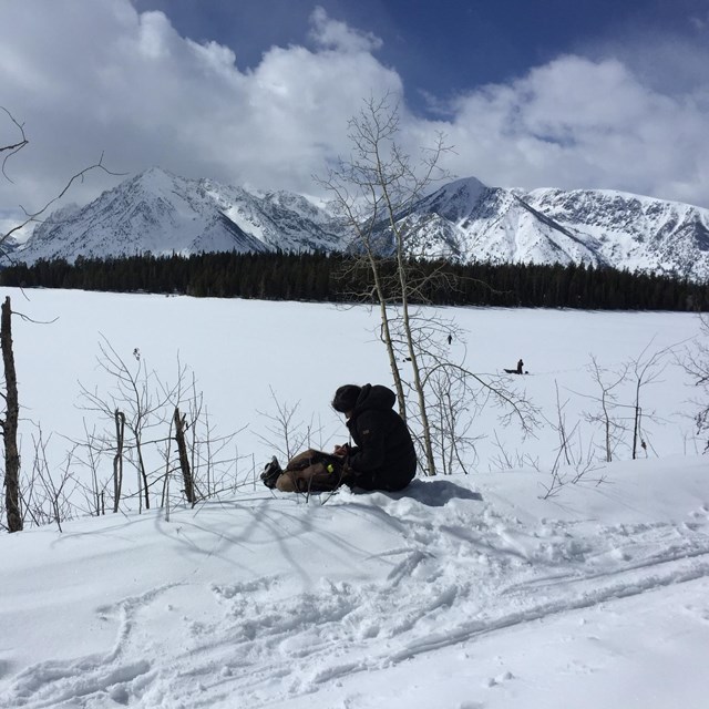 journaling at jackson lake