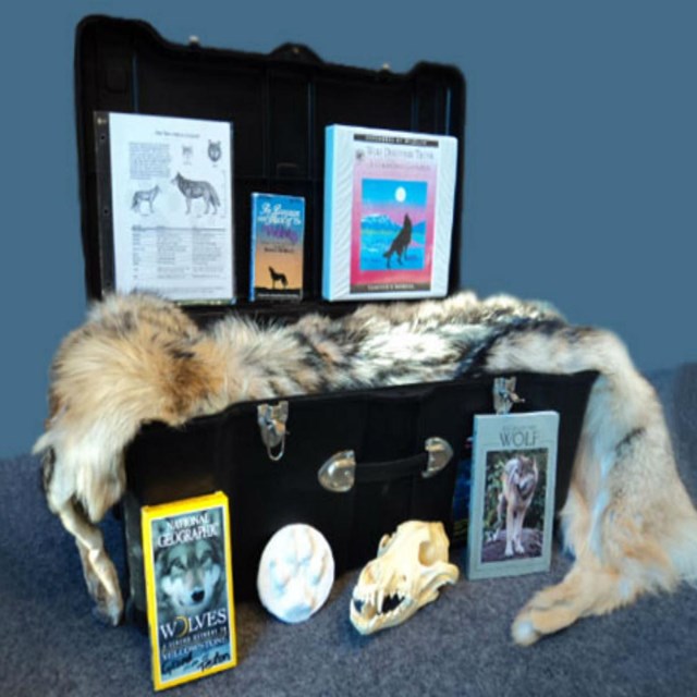 Borrow a Traveling Trunk