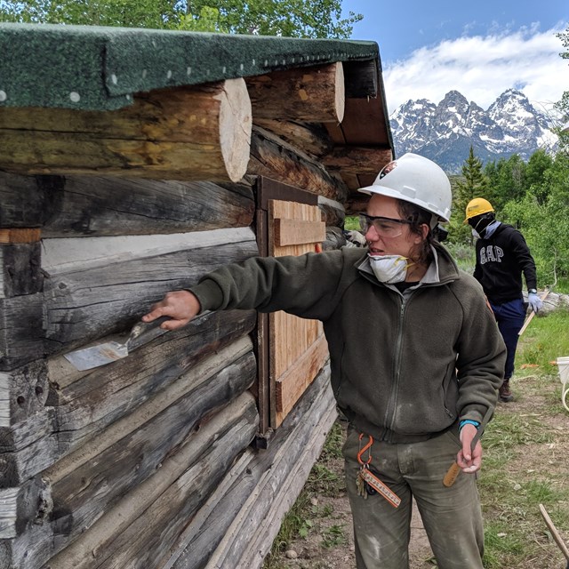 Park staff demonstrate how to repair log cabin chinking.
