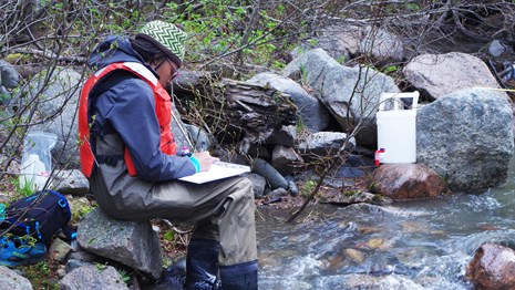 field technician recording water quality data in a stream