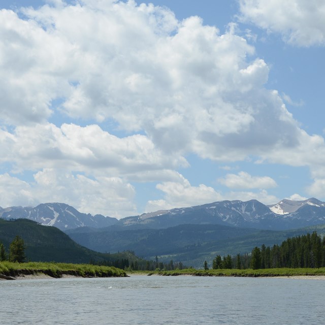 Wide river with forest and mountains in the background.
