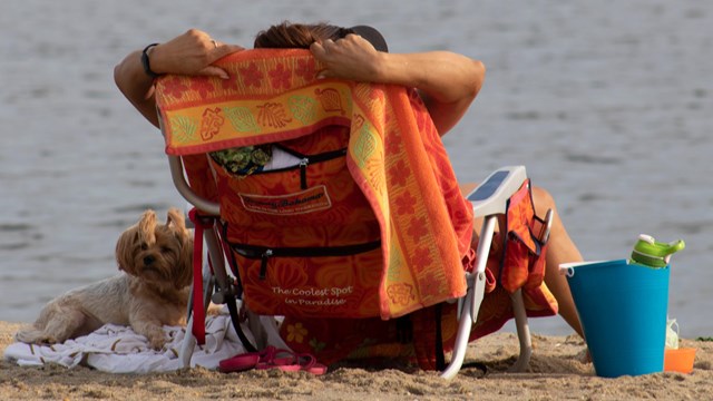 are dogs allowed on beach at national live oaks