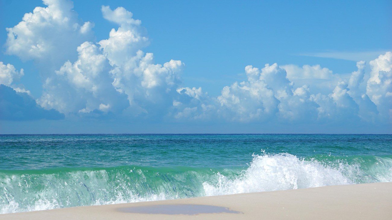 Blue sky and green water with sand