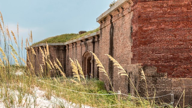 Sea oats stand in the foreground with a large masonry fort in the background.