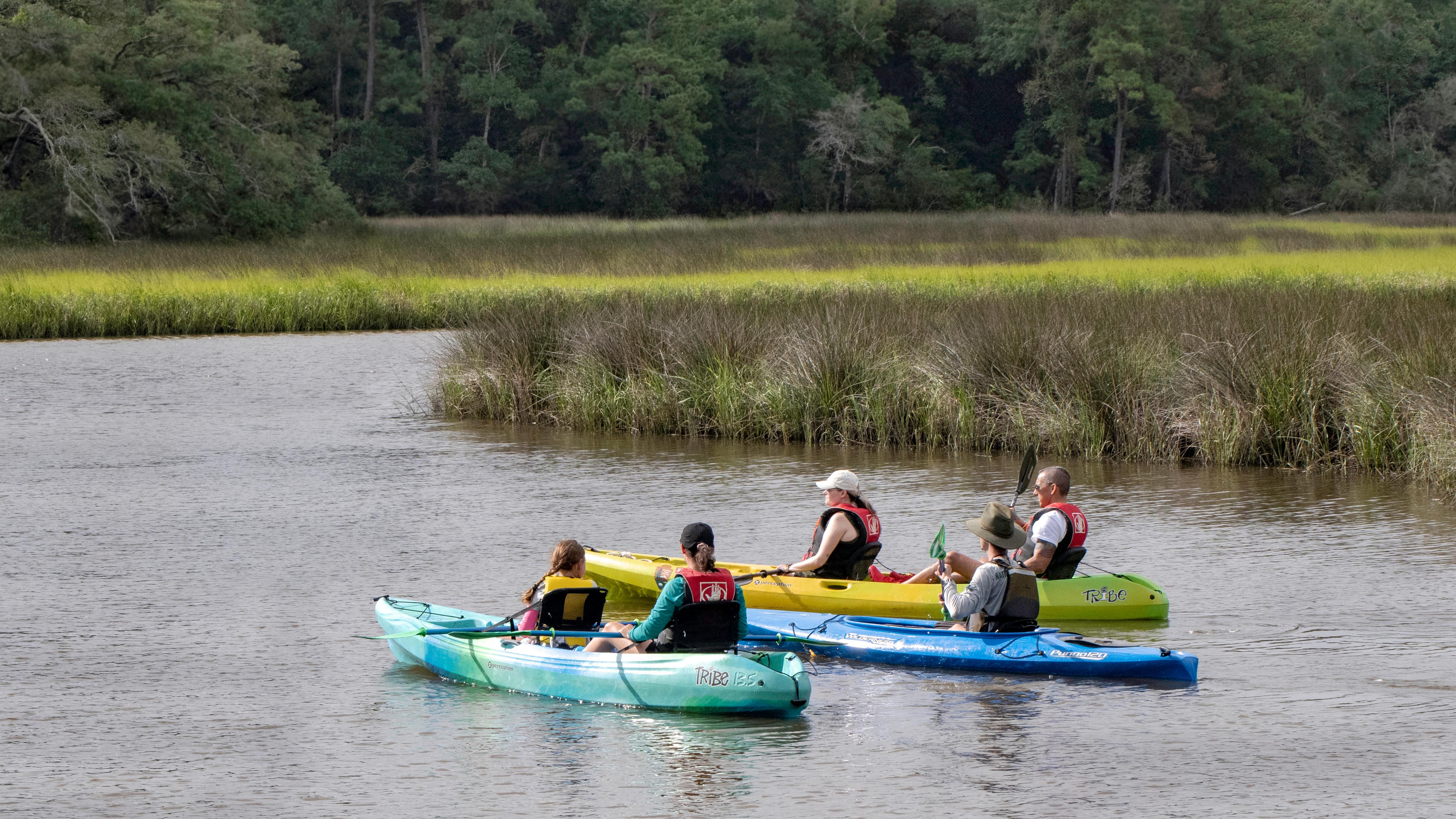 Kayak the Bayou