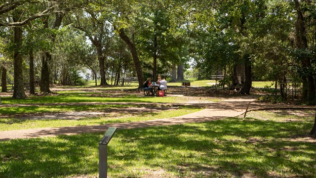 A large grassy area sheltered by trees with picnic tables scattered throughout.