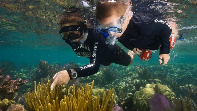 Snorkeling and Scuba Diving Safety