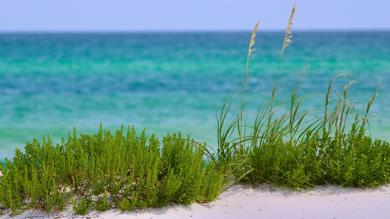 Beach water