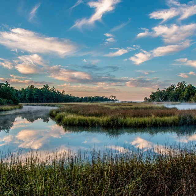 Wispy clouds and a blue sky reflect in the still waters of a bayou in the morning.