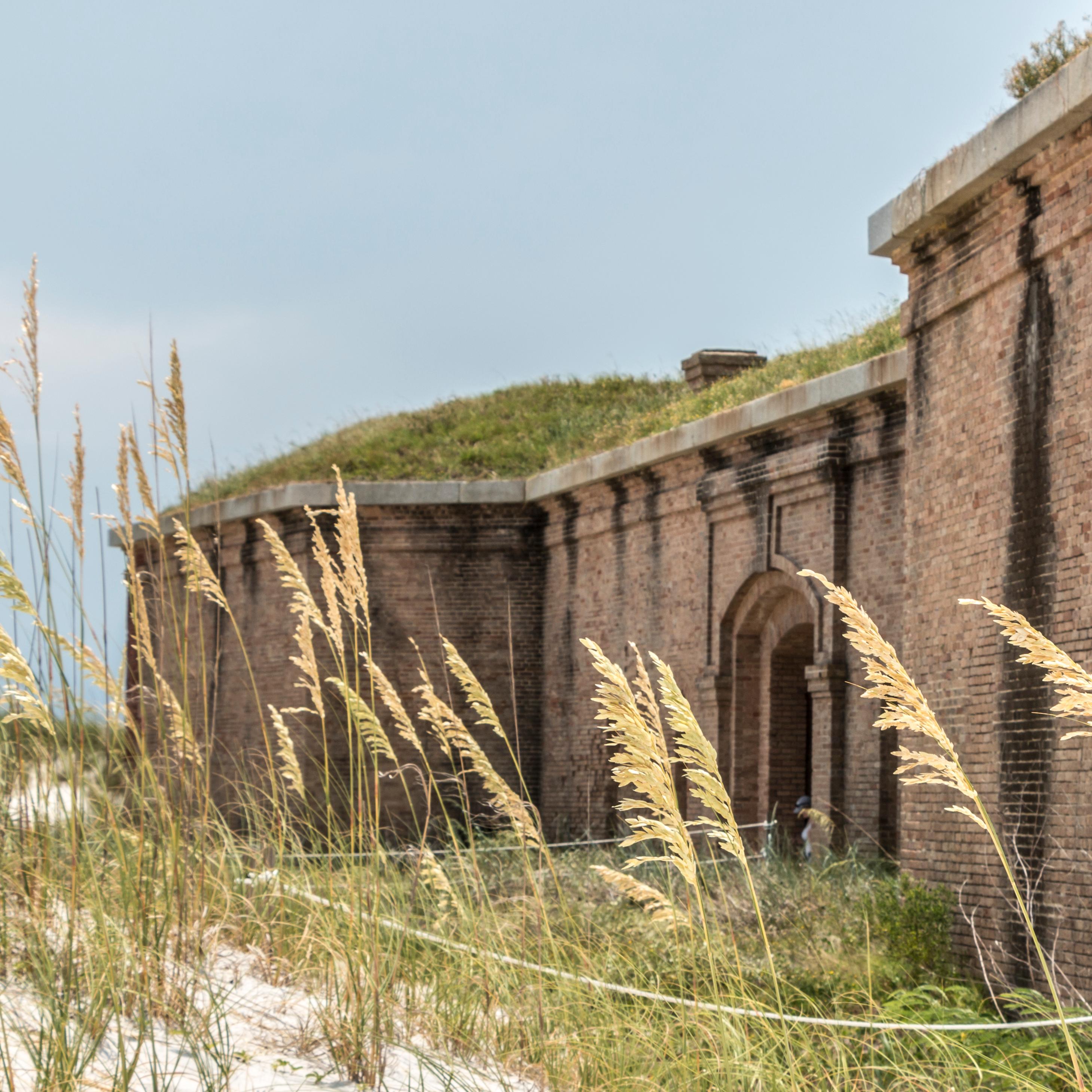 Sea oats stand in the foreground with a large masonry fort in the background.