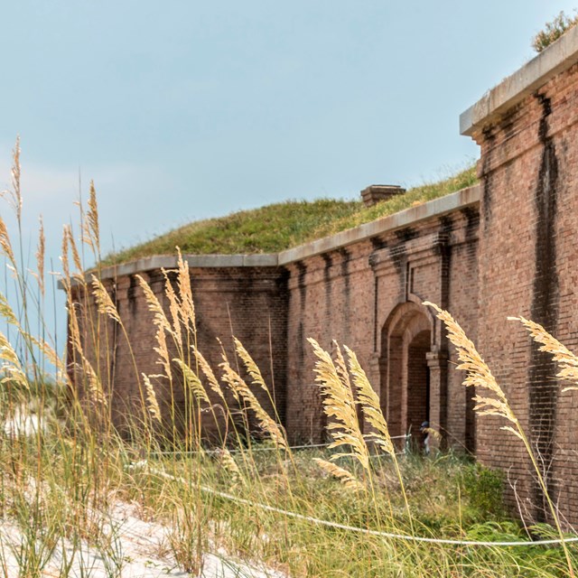 Sea oats stand in the foreground with a large masonry fort in the background.