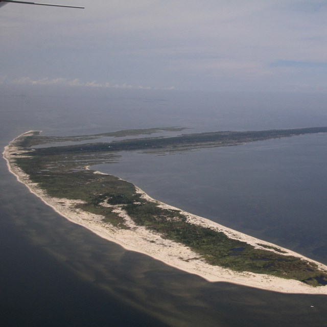 Seagrass - Gulf Islands National Seashore (U.S. National Park Service)