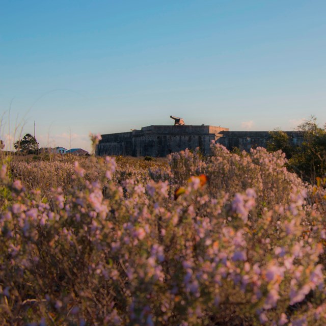 Flowers bloom in the foreground of a historic masonry fort.