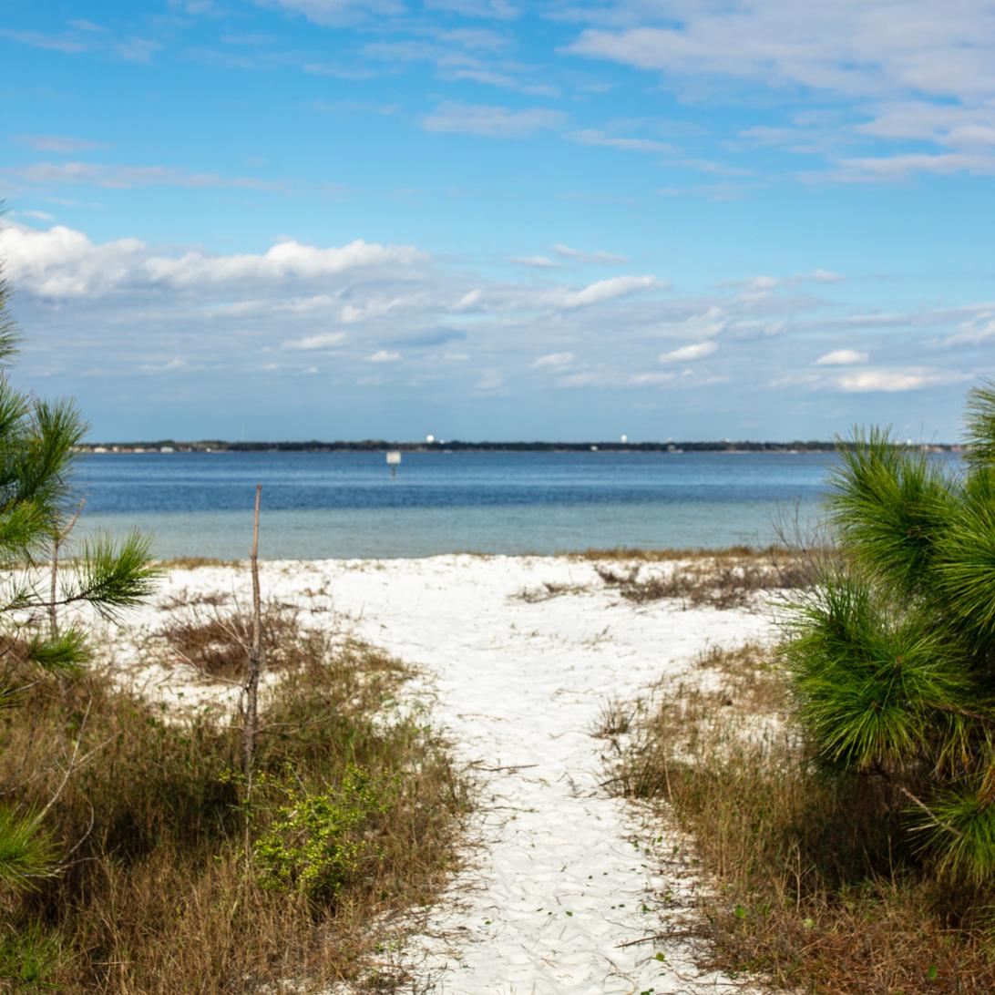 A green tree branch frames a white sand path that leads to blue water in the background.