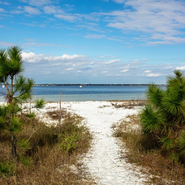 Hurricane Katrina - Gulf Islands National Seashore (U.S. National Park  Service)