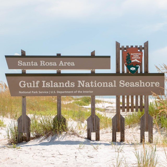 A sign on a beach surrounded by dune vegetation.