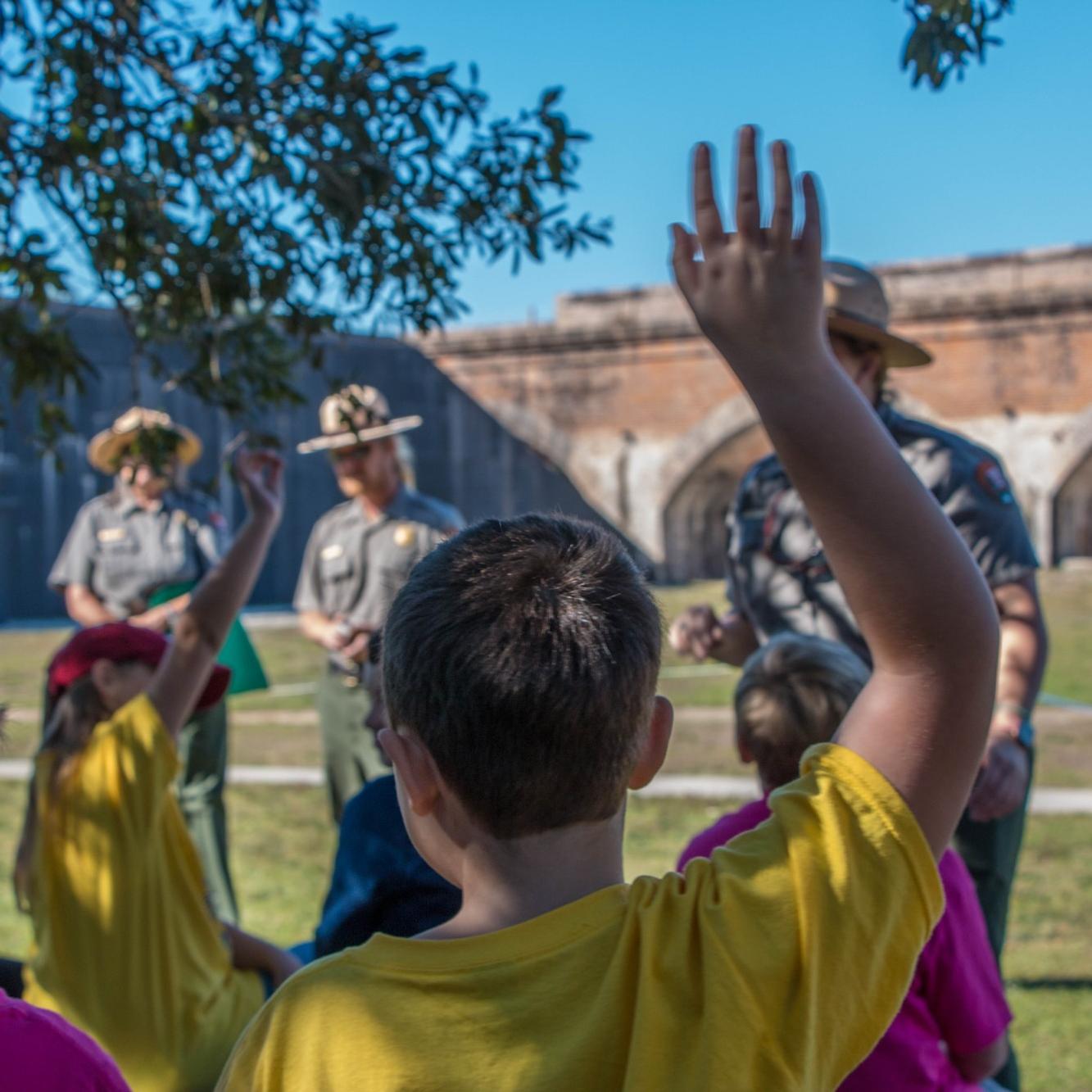 A group of girls scouts gather around a ranger along a wooden trail, all are looking up at the trees