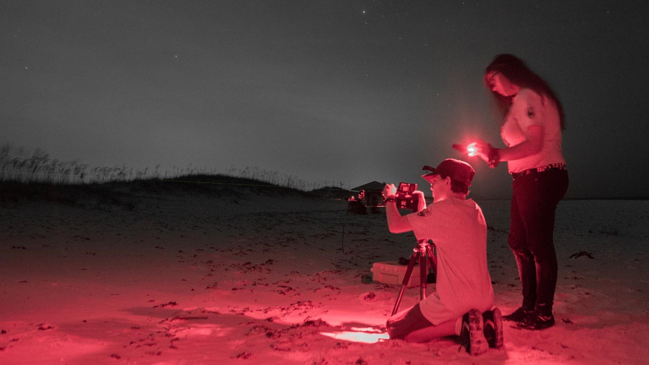 Two students take light measurements on a beach at night.