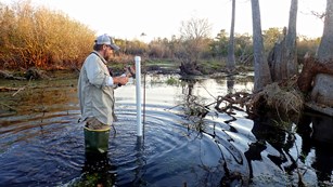 Biologist for the Gulf Coast Network installs a water level gauge in a small pond