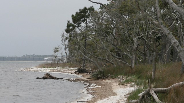 Coastline at Gulf Islands National Seashore