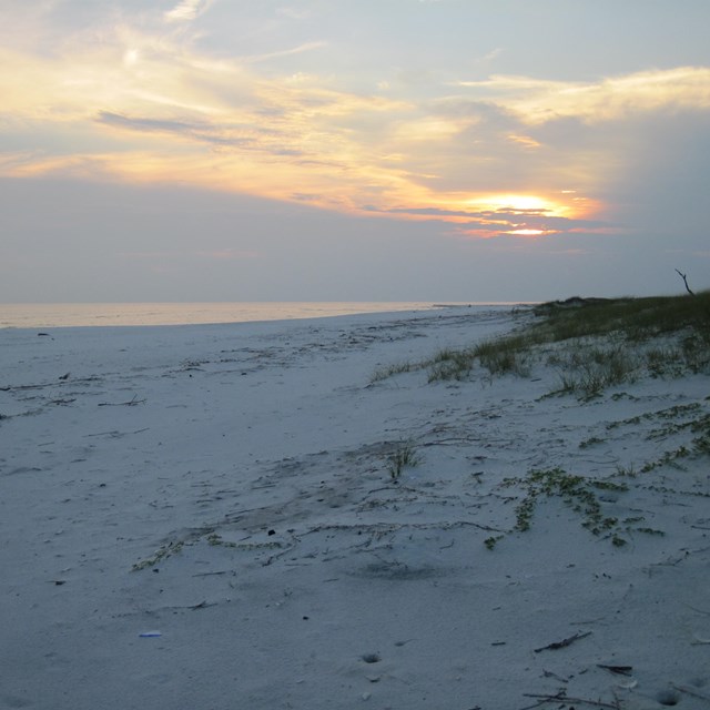 Shoreline at Gulf Islands National Seashore.