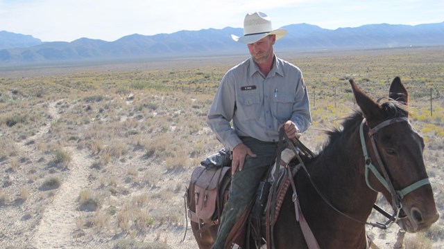 A man rides a horse in a desert landscape