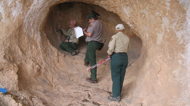 Park rangers and volunteers conduct research in a rock cave