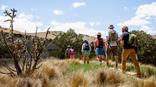 A park ranger and a group of hikers  follow a trail in a desert meadow