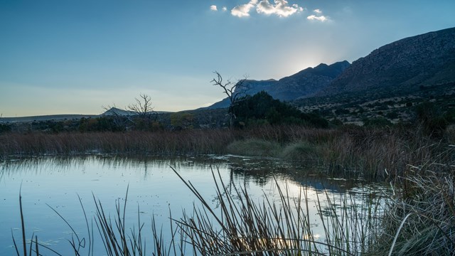 A desert spring with mountains in the background