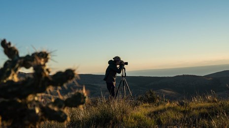 A visitor uses a camera and tripod to fram a picture