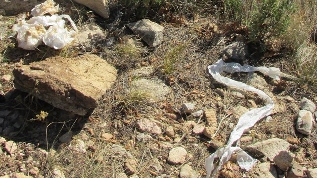 Dirty toilet paper lays across a natural landscape