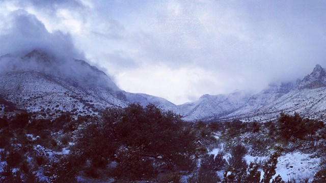 Check the current weather at Guadalupe Mountains NP