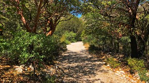 A guide to hiking the 80-mile trail system in the national park.