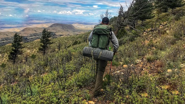 Plan your backpacking trip in the Guadalupe Mountains.