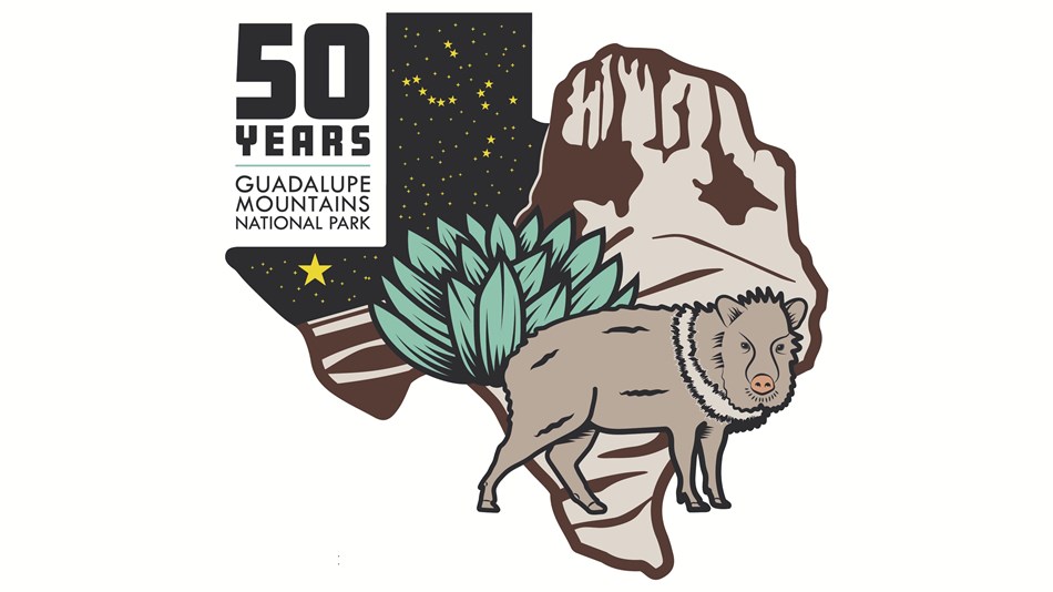 Texas shaped graphic featuring a mountain, agave plant, and a javelina