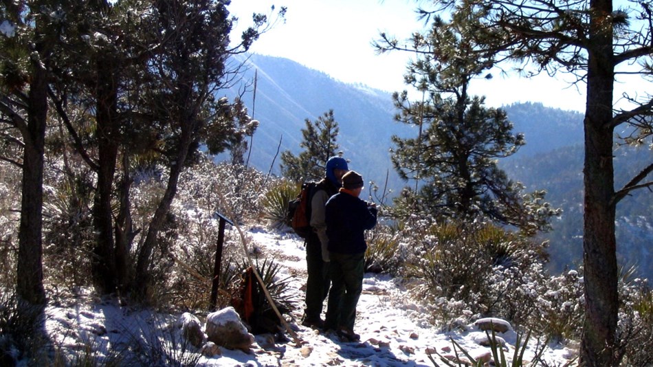 Two hikers in warm clothes stop on a snowy trail in the forested Bowl