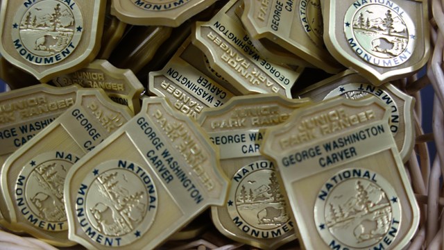 Gold junior ranger badges