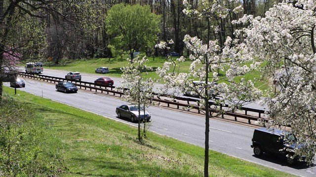 Traffic on the parkway