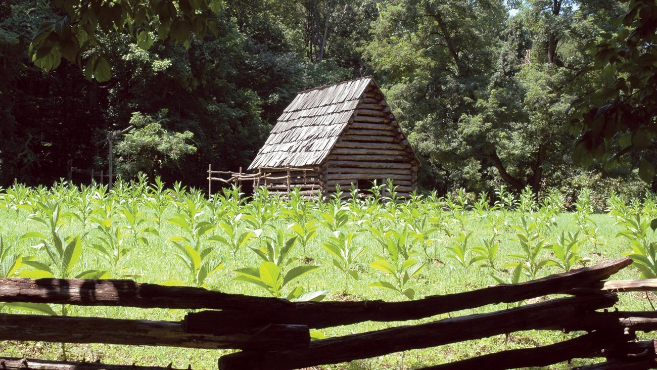 Tobacco barn