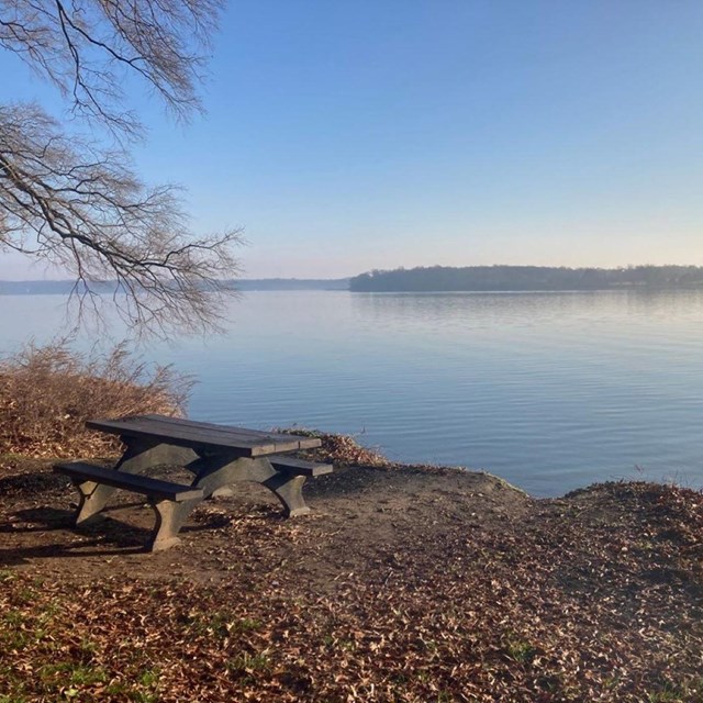 Collingwood Picnic Area